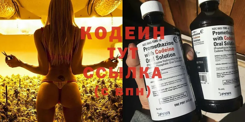 наркота  сайты даркнета как зайти  Кодеин Purple Drank  Белореченск 